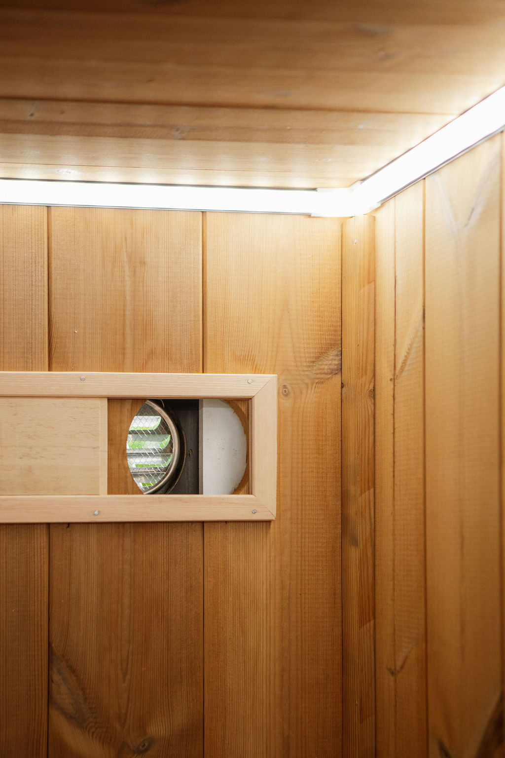 Balerion - 4-6 person Indoor & Outdoor Infrared Sauna