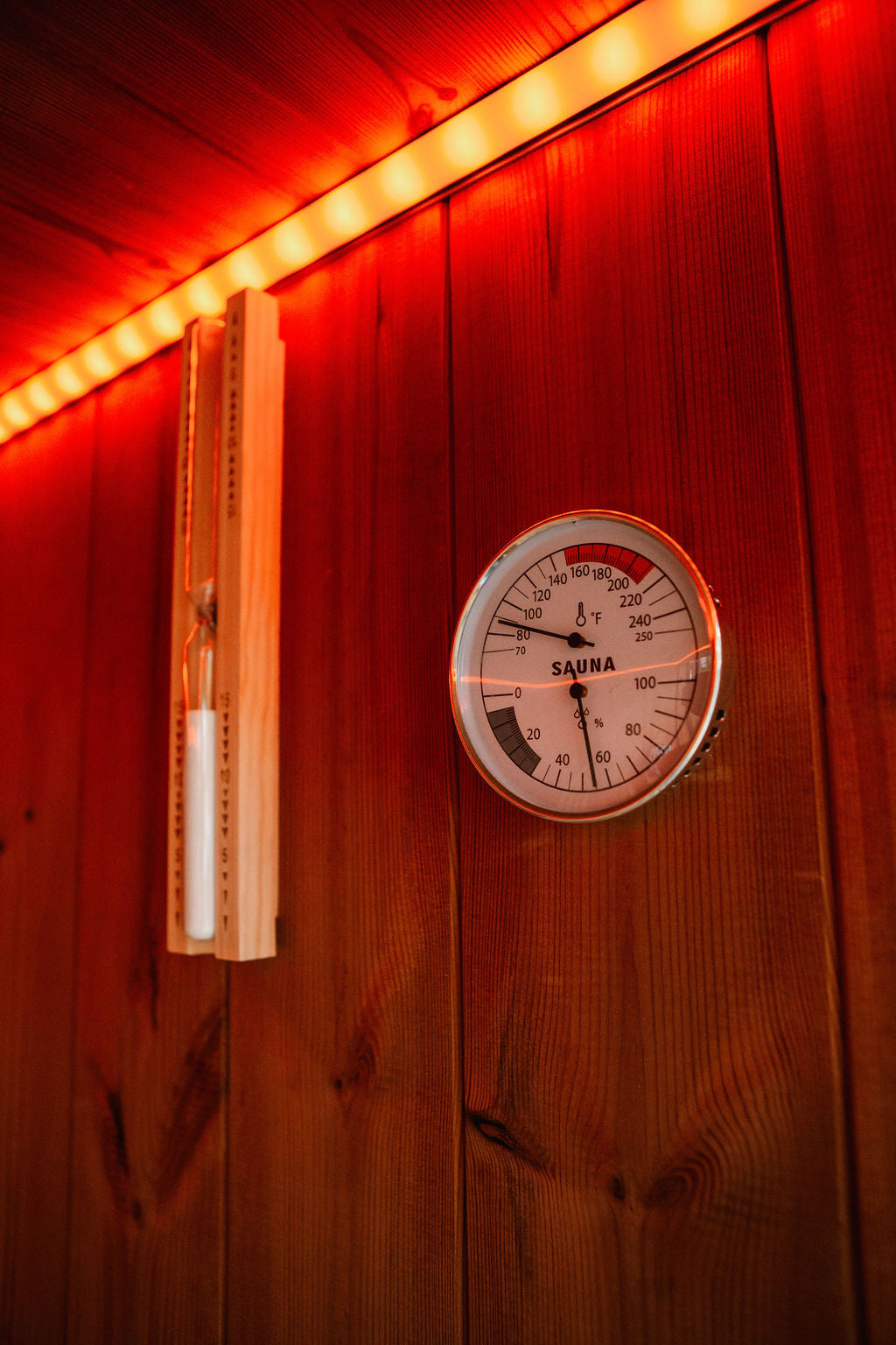 Balerion - 4-6 person Indoor & Outdoor Infrared Sauna