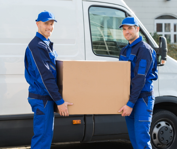 Professional Assembly