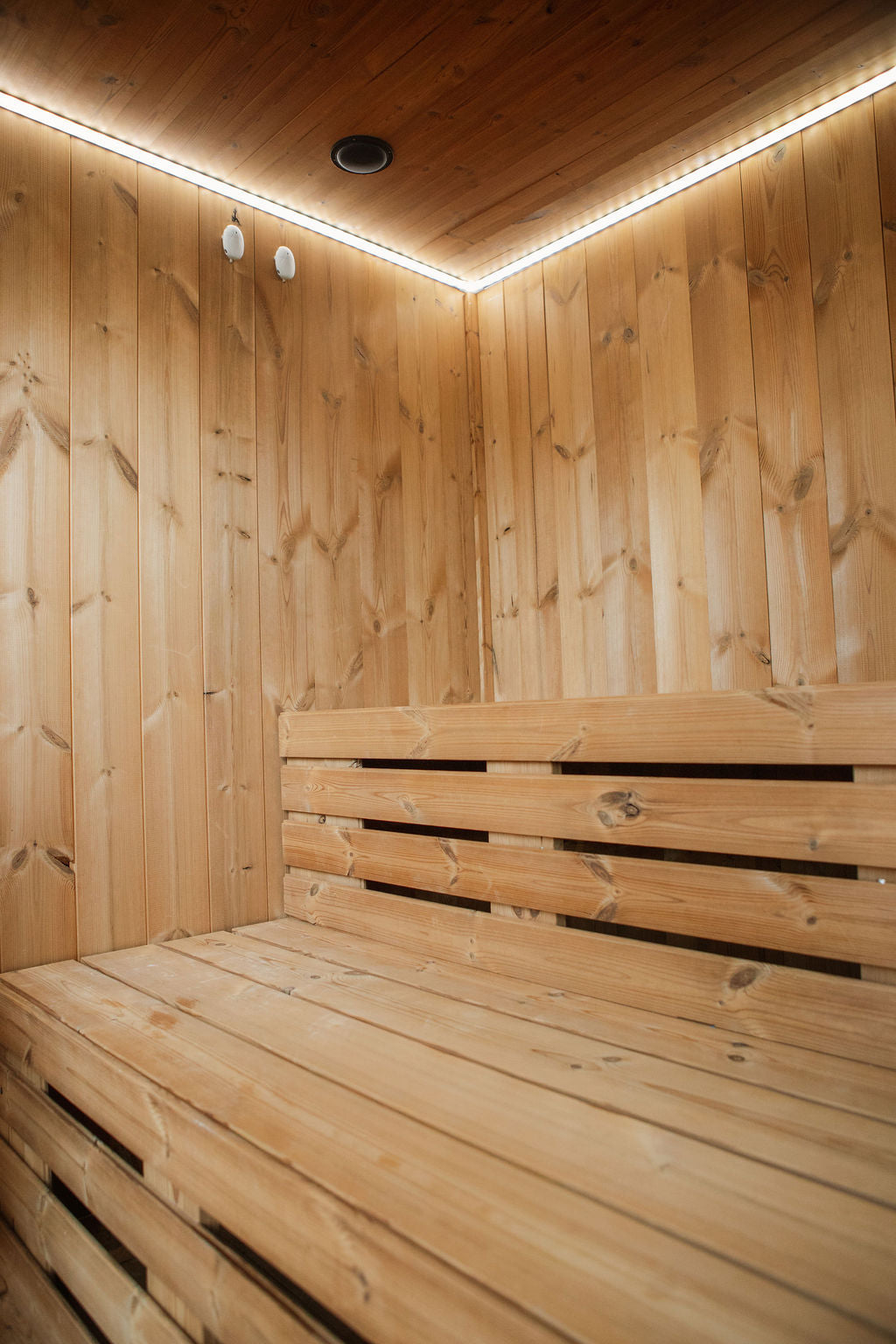 Balerion - 4-6 person Indoor & Outdoor Infrared Sauna